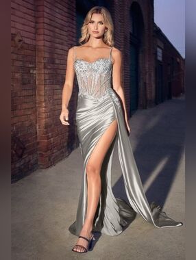 Embellished Lace & Satin Fitted Gown In Silver CD868